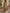 Provence Bloom Linen Dress