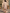 Provence Bloom Linen Dress